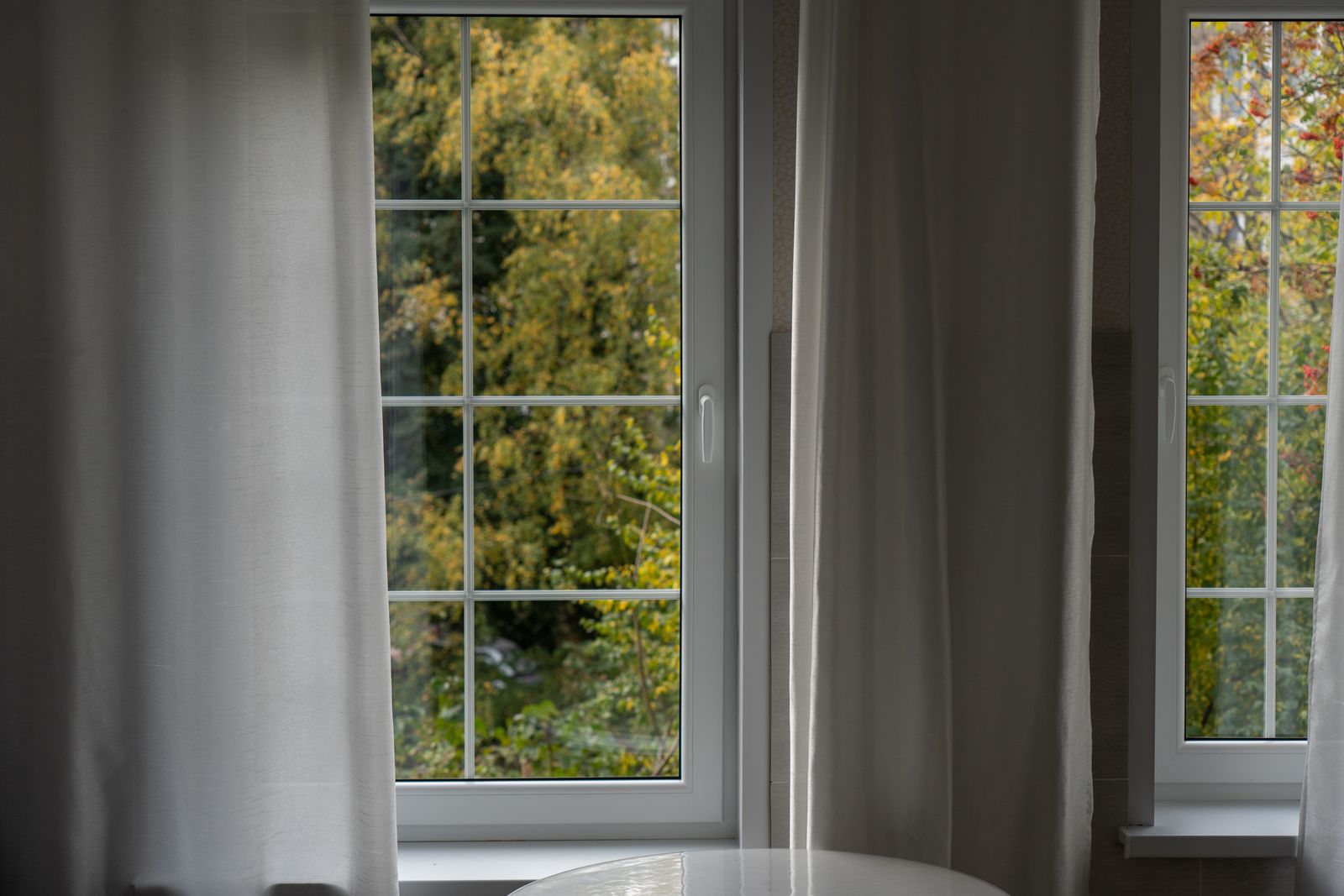 Tall black-framed windows with a garden outside.